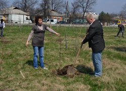 Actions “Clean Environment” and “Plant a Tree”